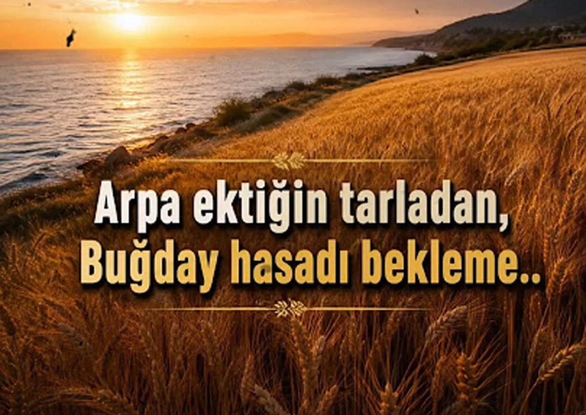 ACEMİLİK Mİ, ART NİYET Mİ?