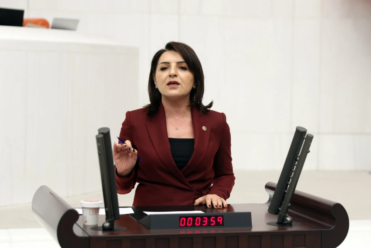 CHP&rsquo;li Kış, iktidarın vergi politikasını eleştirdi