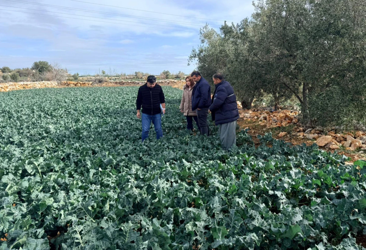 DOLUNUN ZARARI NETLEŞTİ