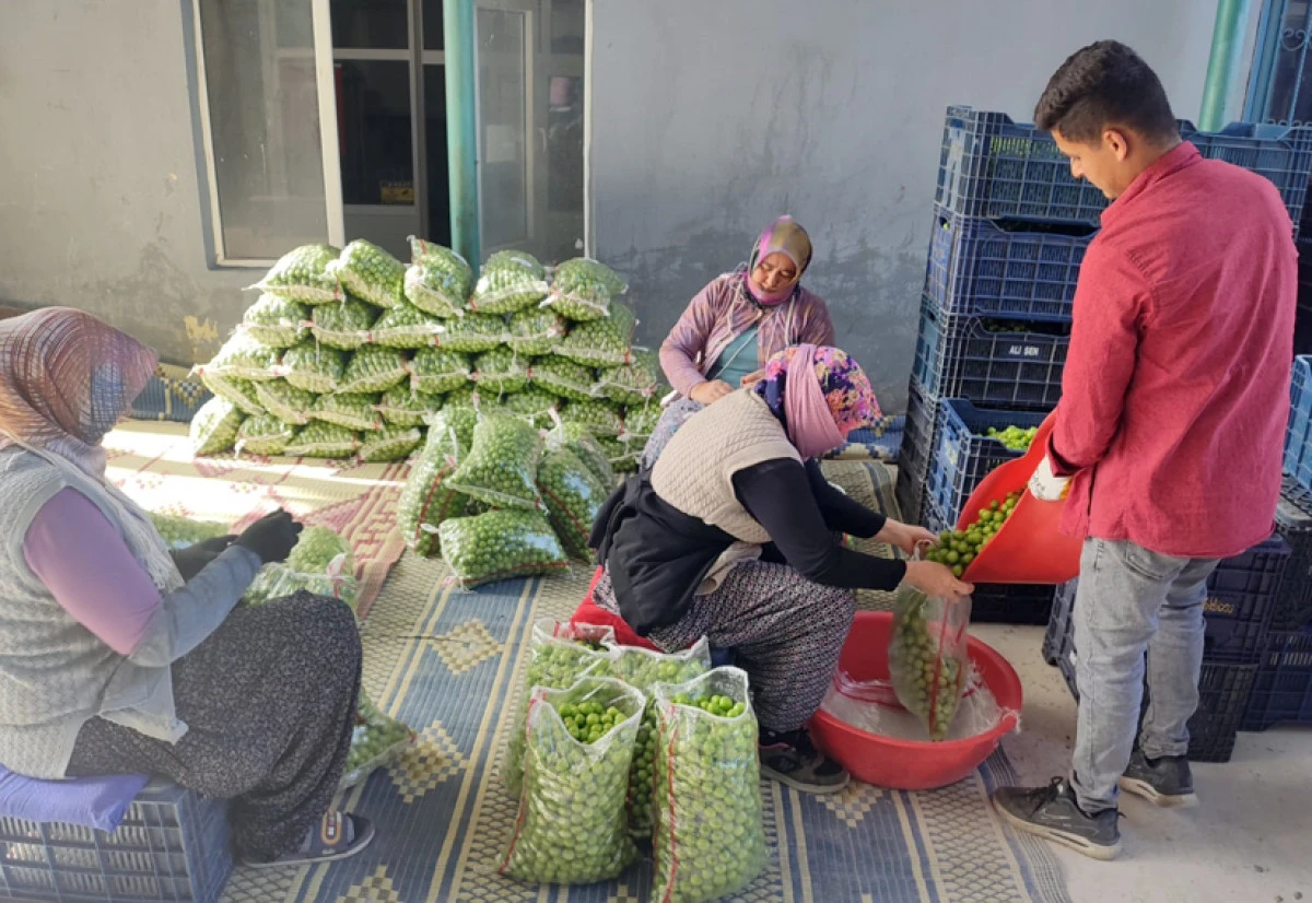 Erik, &uuml;reticisinin y&uuml;z&uuml;n&uuml; g&uuml;ld&uuml;r&uuml;yor