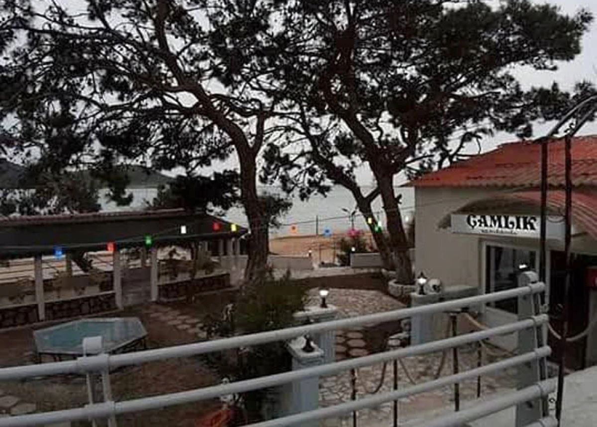 Hem su&ccedil;lu hem de g&uuml;&ccedil;l&uuml; m&uuml;?