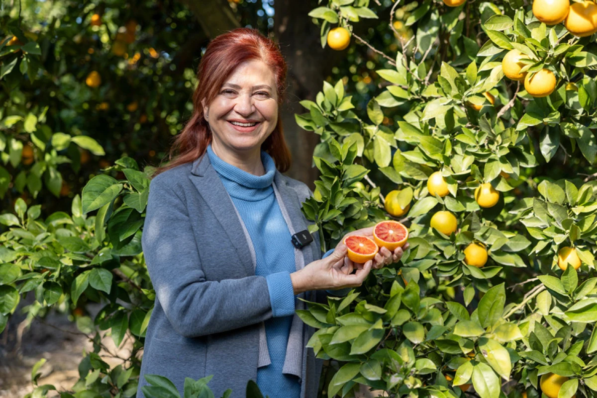 KAN PORTAKALINA COĞRAFİ TESCİL