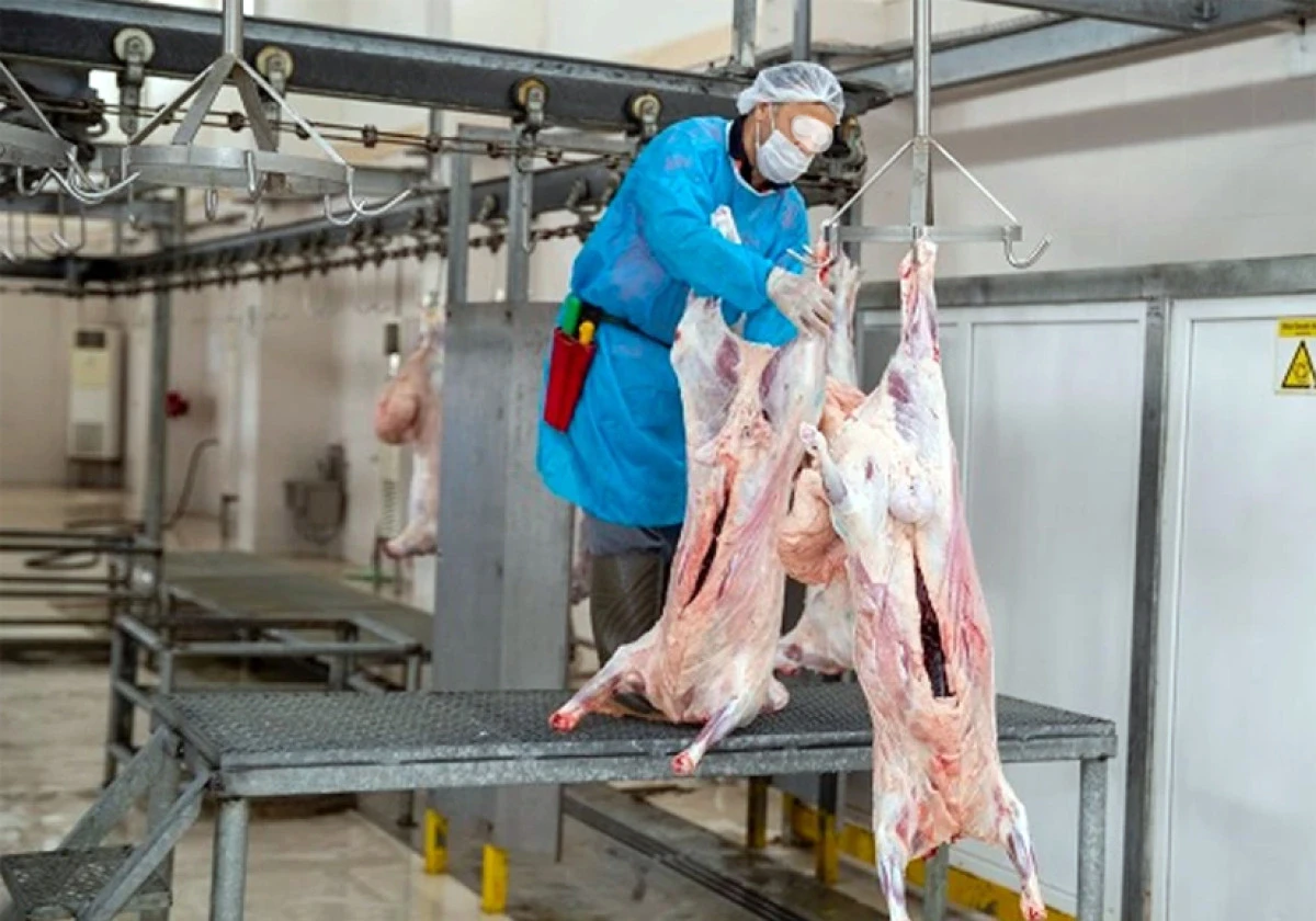 Kasaplar, mezbahane i&ccedil;in &ccedil;&ouml;z&uuml;m istiyor