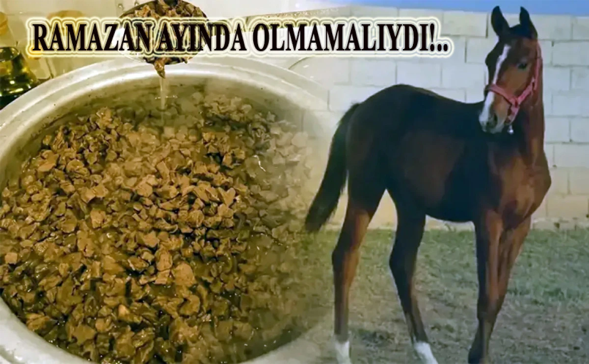 Mersin B&uuml;y&uuml;kşehir Mezbahaları sınıfta mı kaldı?