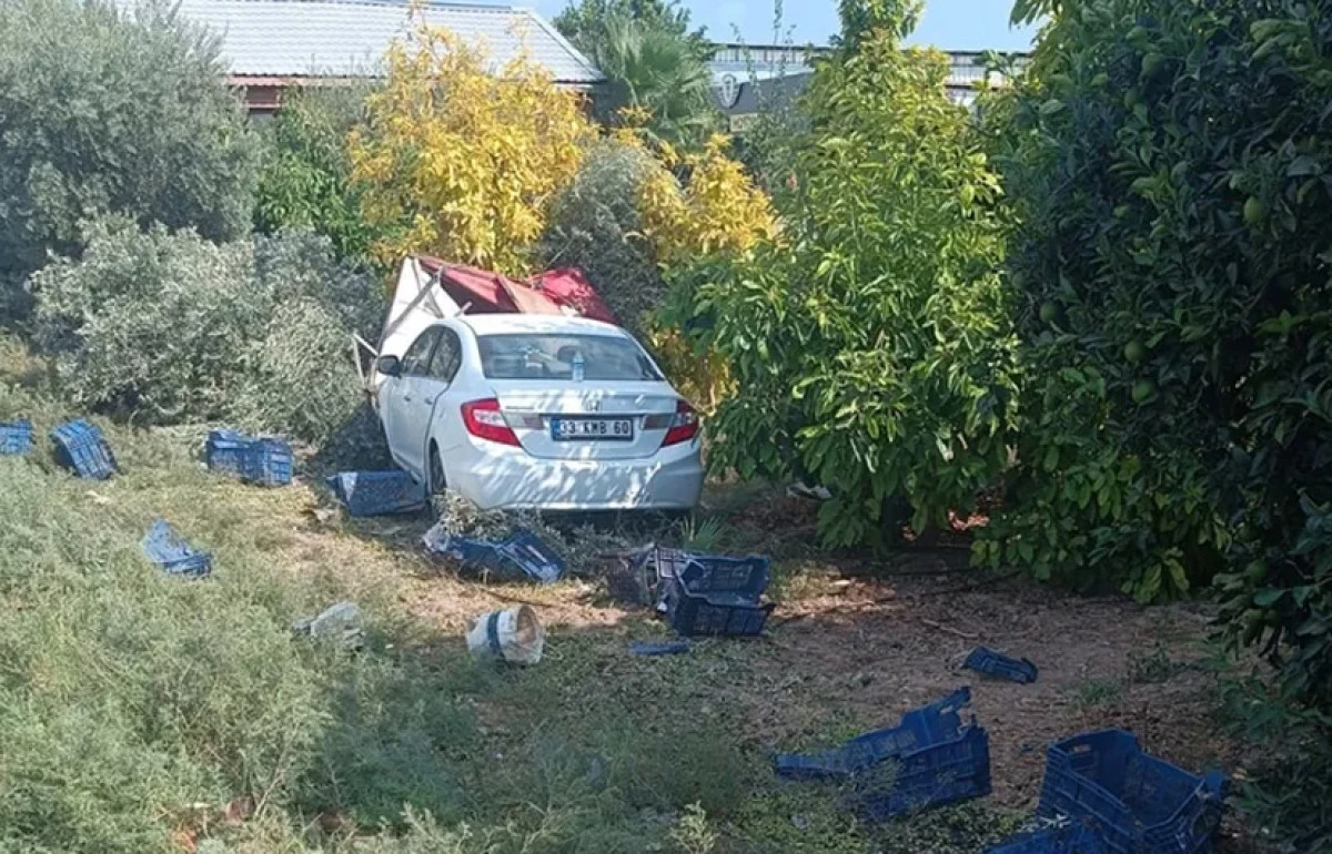 Otomobil zeytin bahçesine daldı 2 ölü