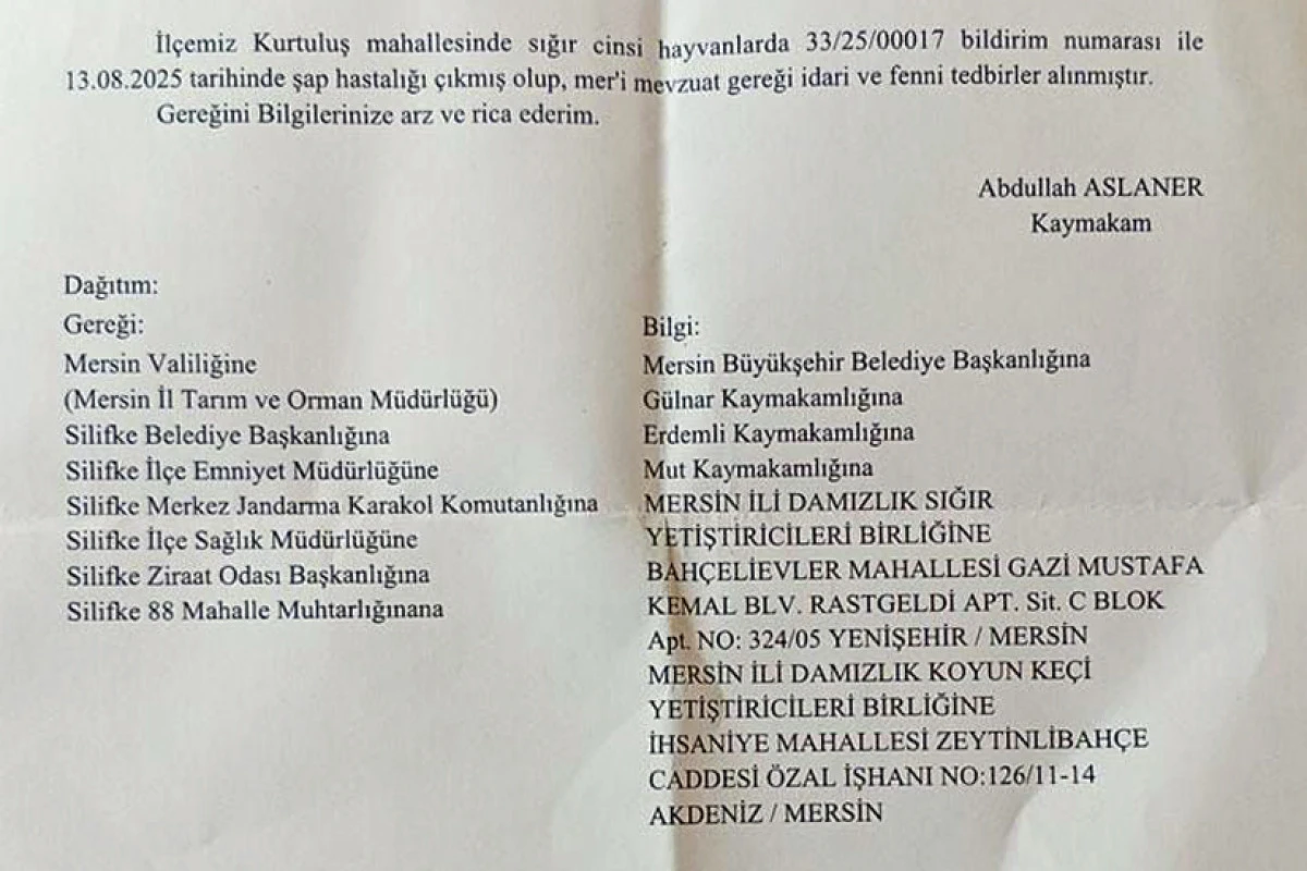 Silifke’de şap hastalığı sorunu yok