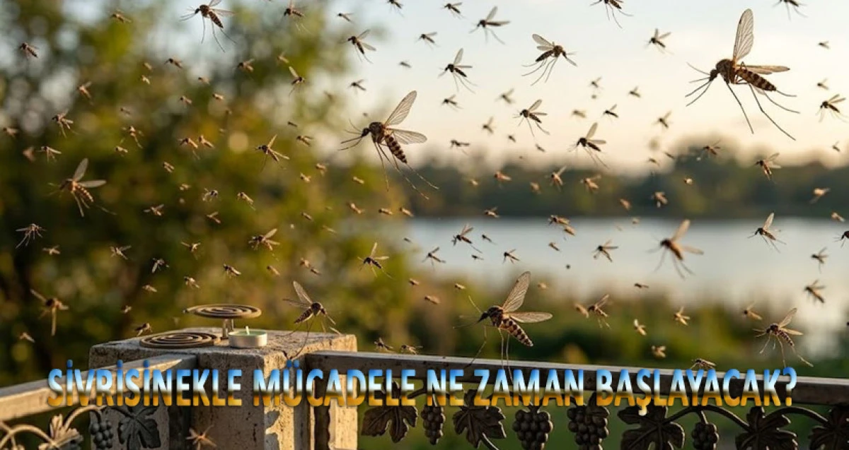 Sivrisinekle vatandaş mı m&uuml;cadele edecek?