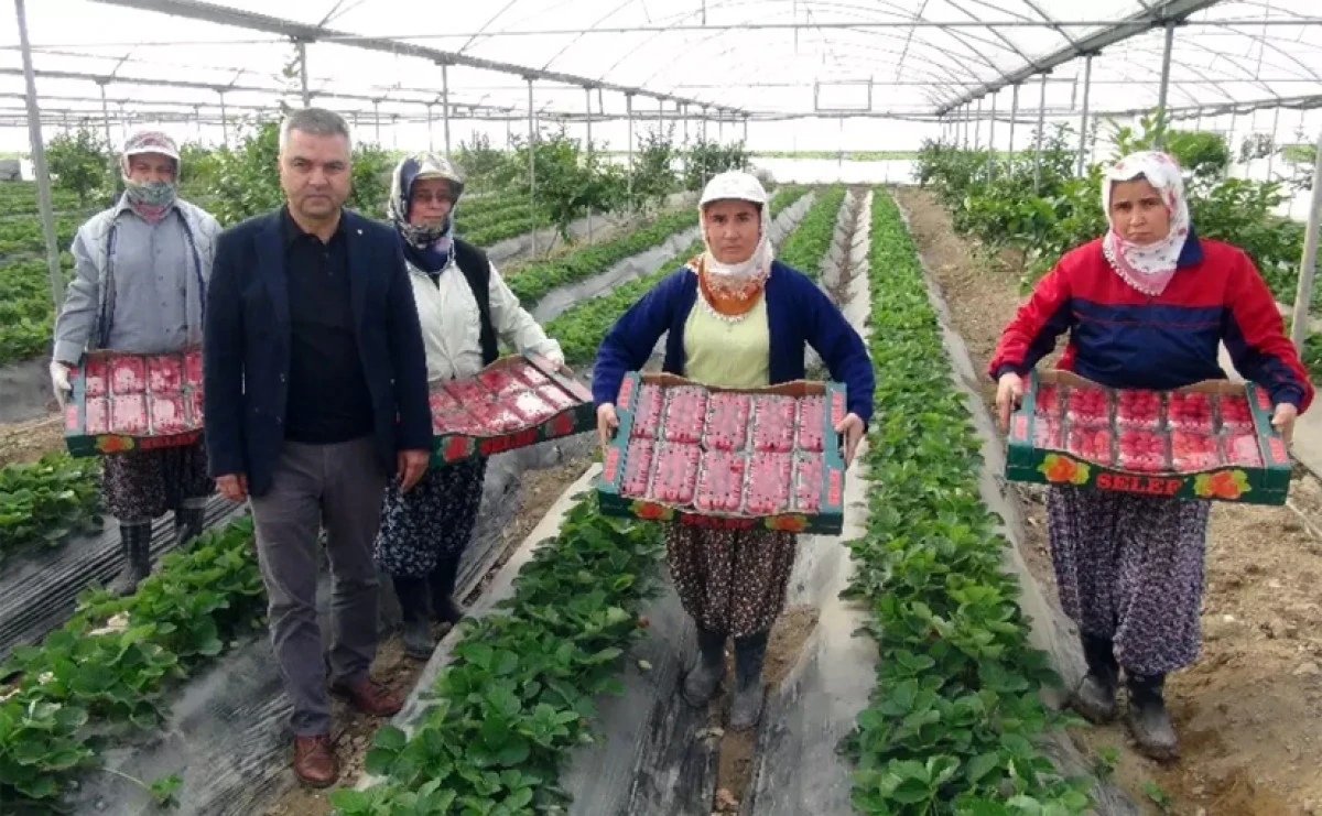 Tarımda da kadın ön planda…