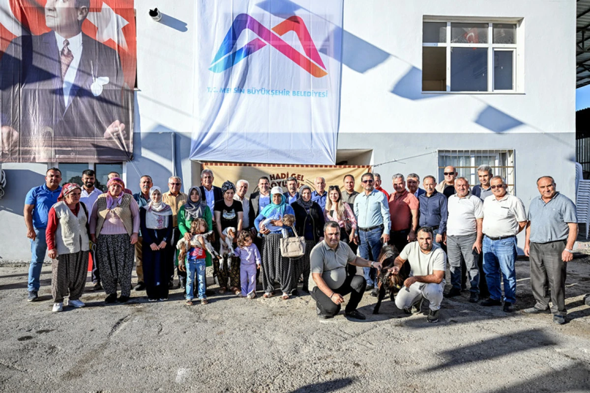 Üreticilere hayvan, yem ve enerji desteği