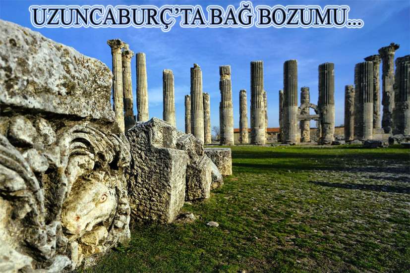 Uzuncaburç’ta bağ bozumu şenliği…